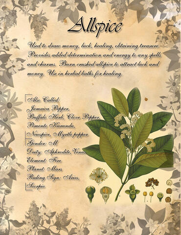 Allspice