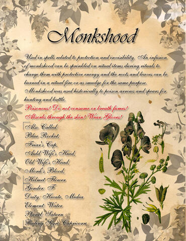 Monkshood