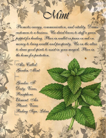 Mint